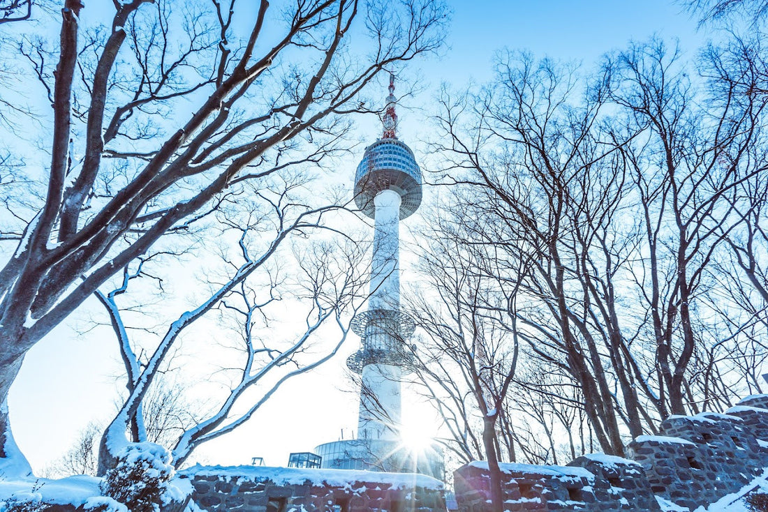 Winter in Korea: A Seasonal Feast of Flavors