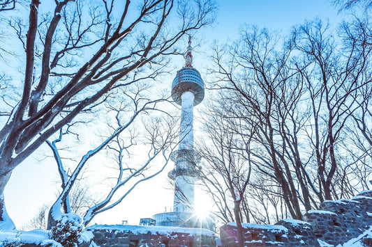 Winter in Korea: A Seasonal Feast of Flavors