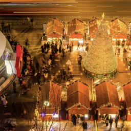 Korea’s Christmas Markets 2025: Where to Go for Lights, Magic & Holiday Cheer