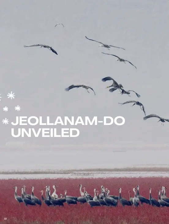 Flock of birds flying over a field with text 'Jeollanam-do Unveiled'.