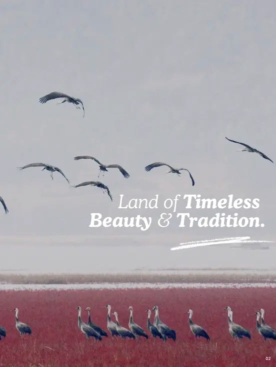 Birds flying over a body of water with text 'Land of Timeless Beauty & Tradition' on a gray background.