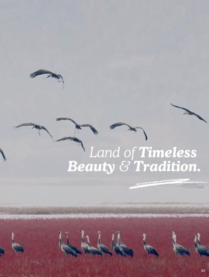 Birds flying over a body of water with text 'Land of Timeless Beauty & Tradition' on a gray background.
